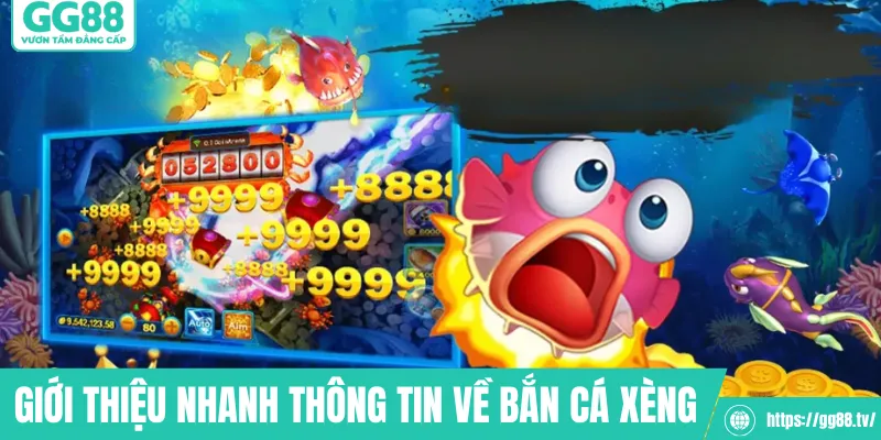 Giới thiệu nhanh thông tin về bắn cá xèng