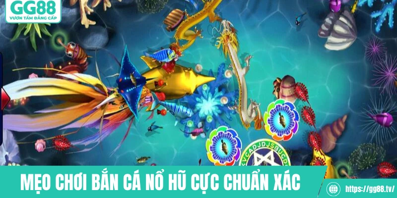 Mẹo chơi bắn cá nổ hũ cực chuẩn xác 