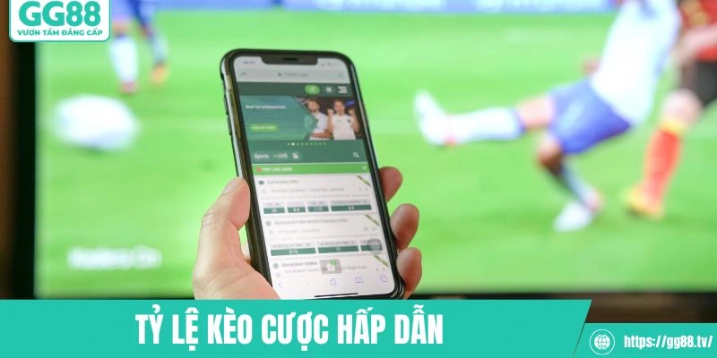 Tỷ lệ kèo cược thể thao vô cùng cuốn hút